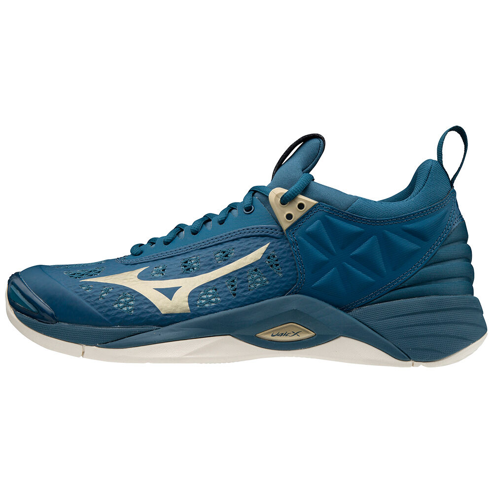 Panske Volejbalove Tenisky Mizuno Wave Momentum Modre Vypredaj OKUS95714